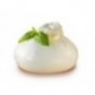 Supplément Buratta