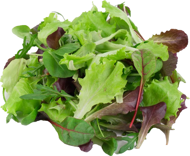 Thumbnail Alt